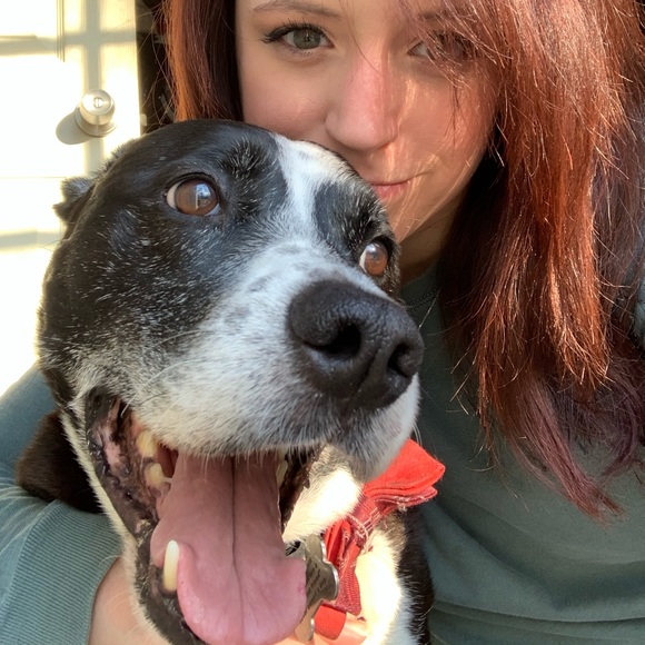 Meet your Posher, Caroline - Picture 1 of 1